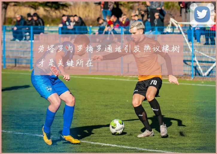 劳塔罗与罗梅罗通话引发热议橡树才是关键所在