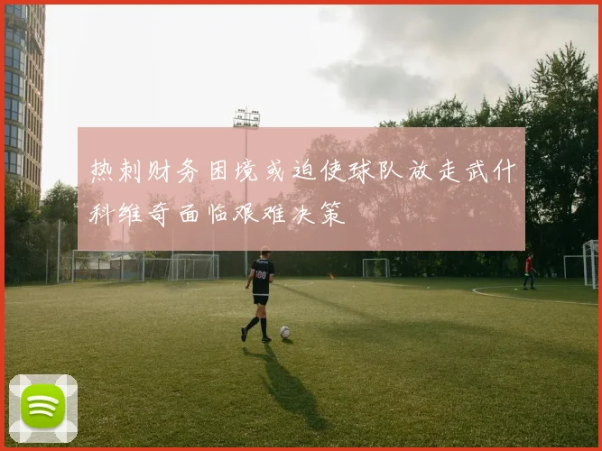 热刺财务困境或迫使球队放走武什科维奇面临艰难决策