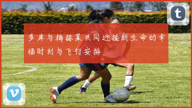 多库与梅赫莱共同迎接新生命的幸福时刻与飞行安排