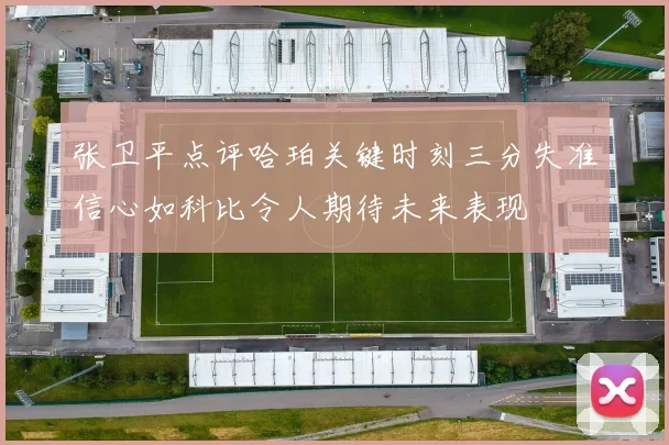 张卫平点评哈珀关键时刻三分失准信心如科比令人期待未来表现